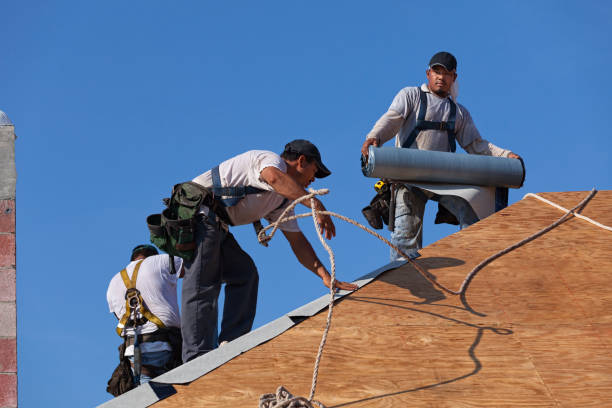 Best New Roof Installation  in Taylor, MI