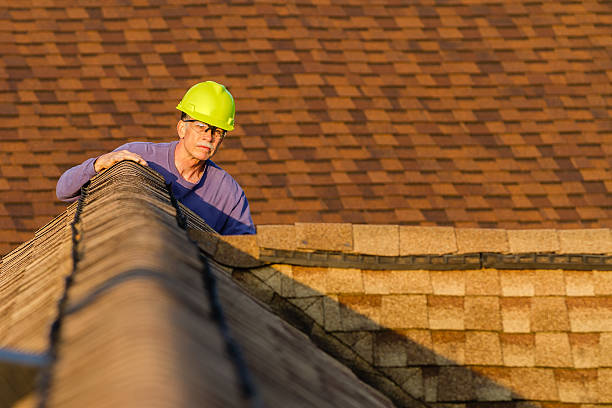 Best Residential Roofing Contractor  in Taylor, MI