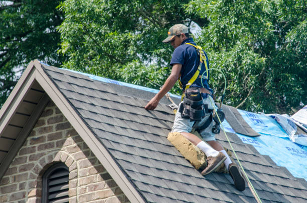 Roof Repair Estimates in Taylor, MI